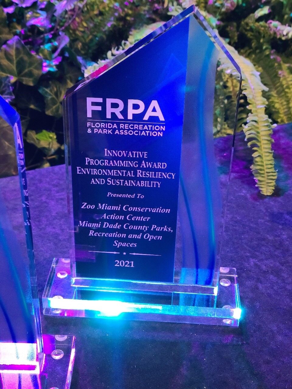 FRPA Award up close.jpg
